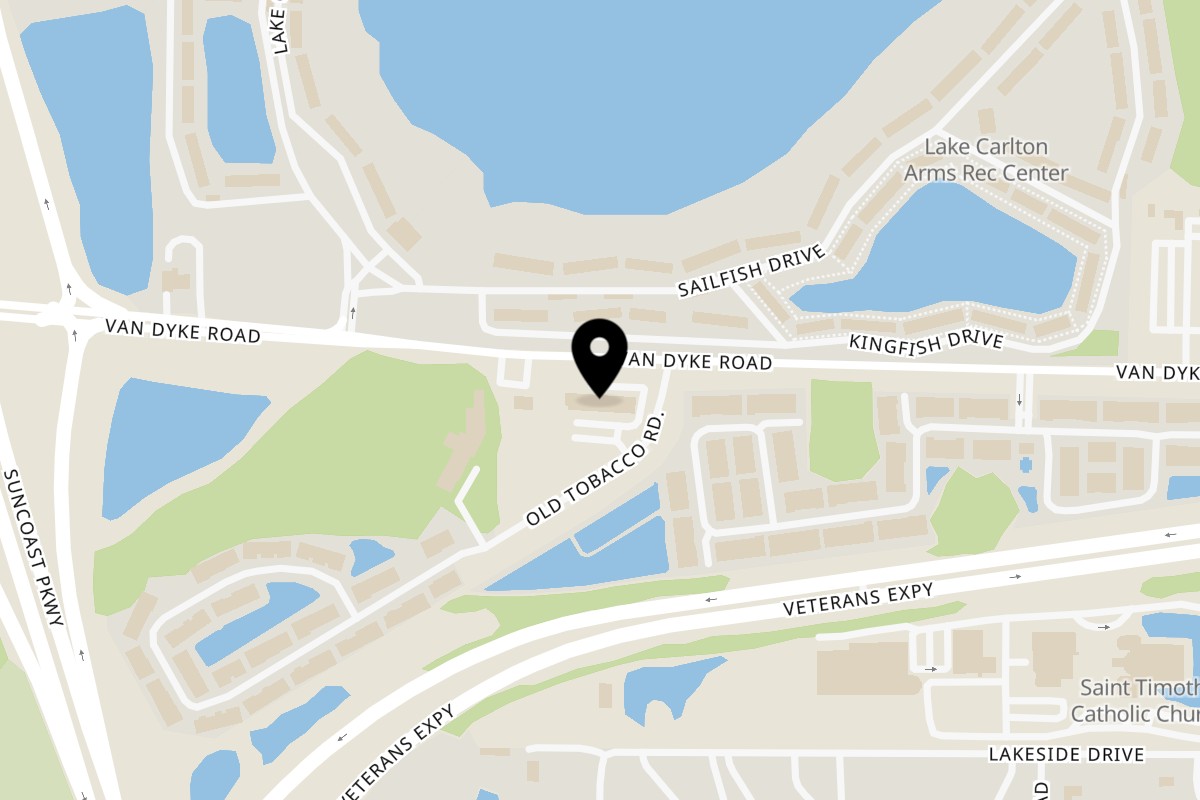 Map showing the location of Scarpino's Classic Italian Lutz on 6062 Van Dyke Rd in Lutz